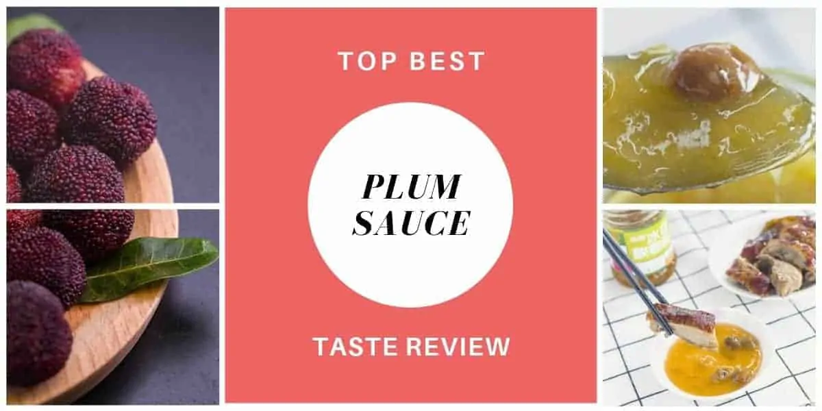 Best 5 Asian Plum Sauces Taste Reviews