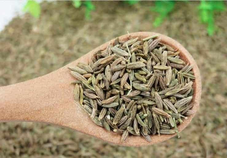 Cumin Seeds Taste Reviews