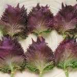 Purple Perilla Taste Reviews