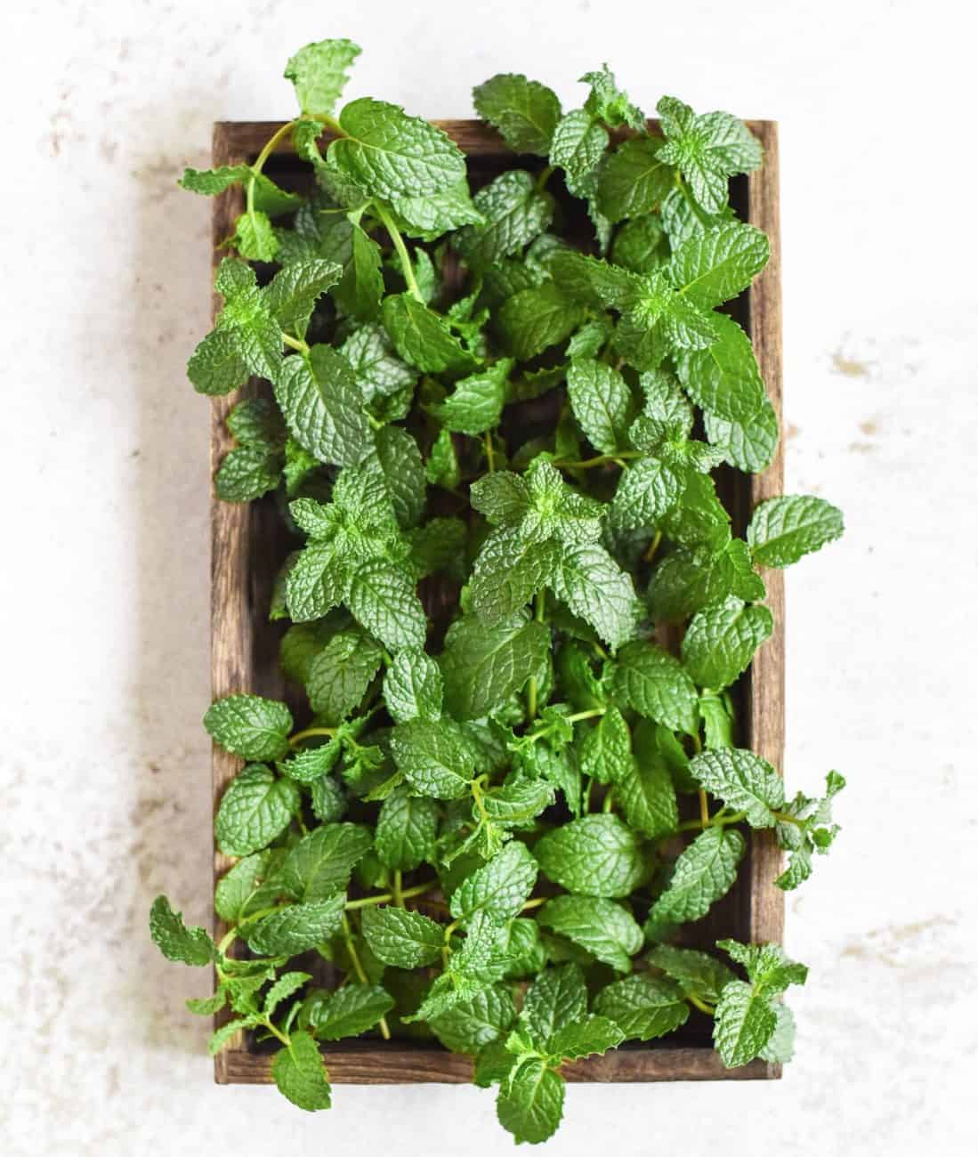 Mint Taste Reviews and Uses In Chinese Cuisine