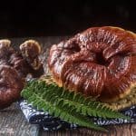 Reishi Mushroom Taste Reviews and Cooking Guide