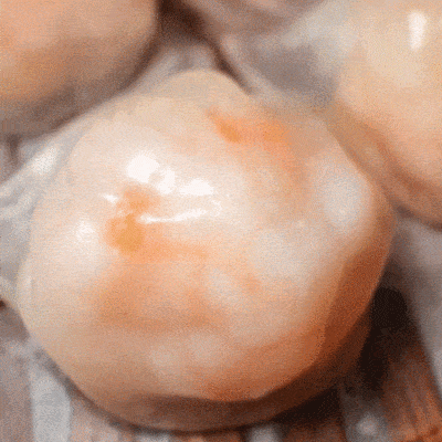 Shrimp Dumplings Recipe