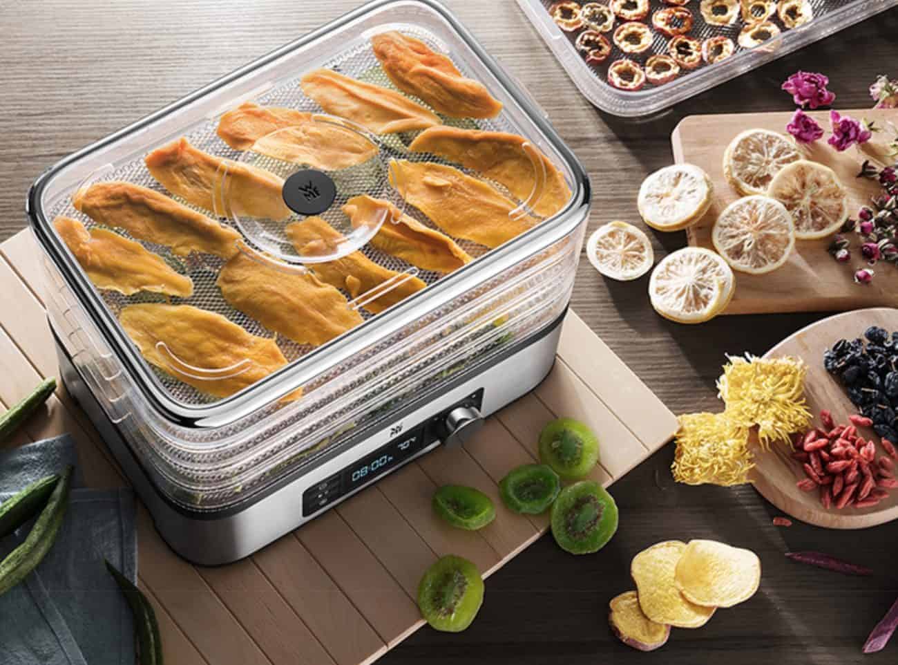 How to Choose the Best Food Dehydrators
