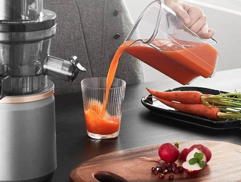 Best Cheap Masticating Juicer Extractor Price Comparison