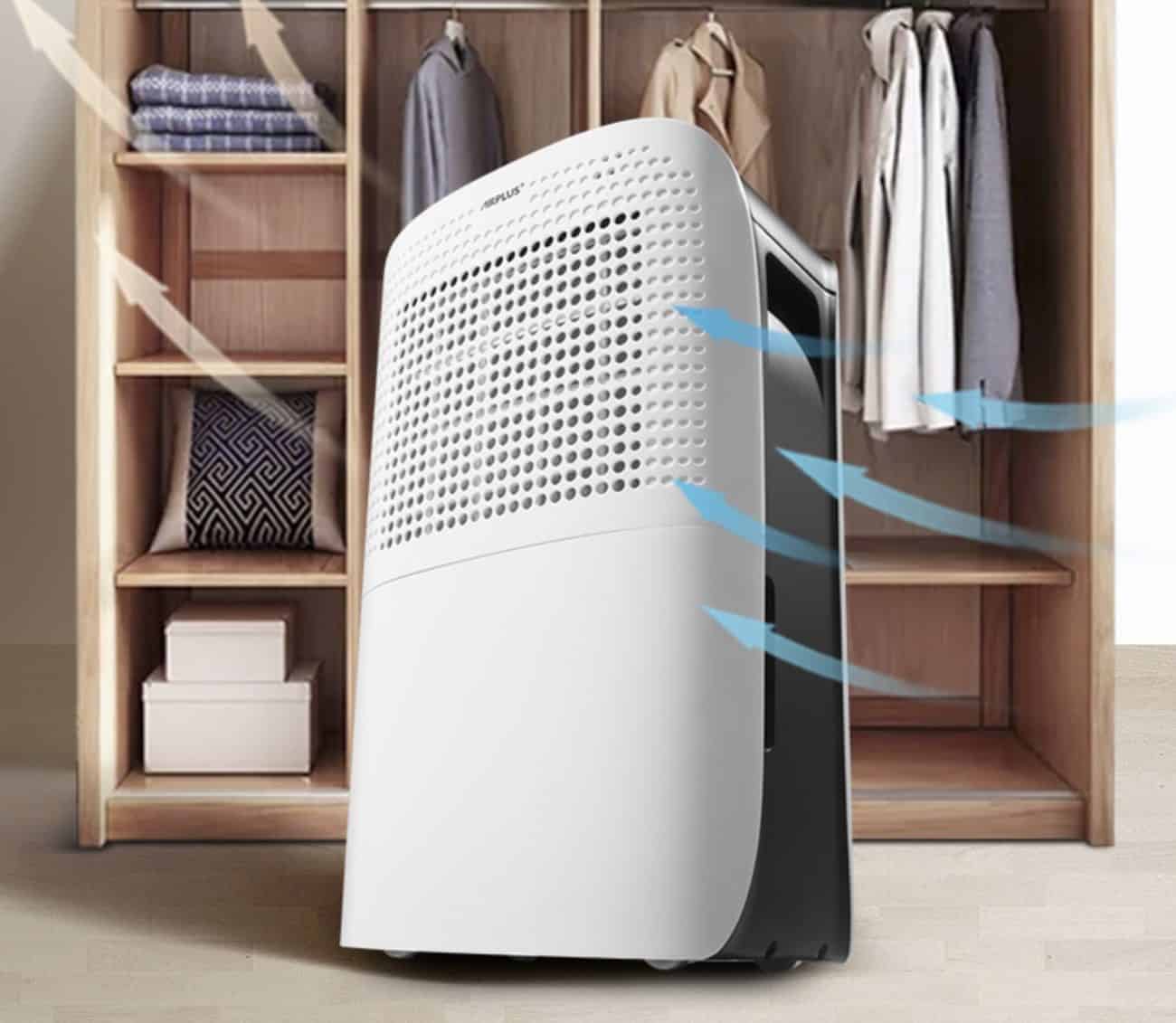 How to Choose the Best Dehumidifier