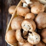 Best Mushroom Recipes in Chinese Cuisine