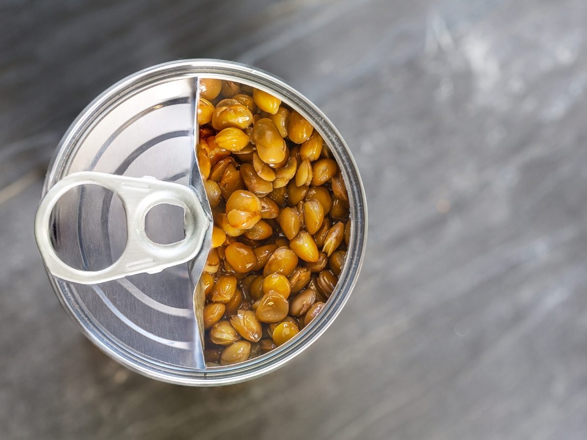 Top 10 Best Canned Lentils