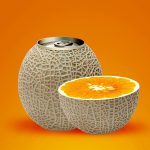 Top 10 Best Canned Melons