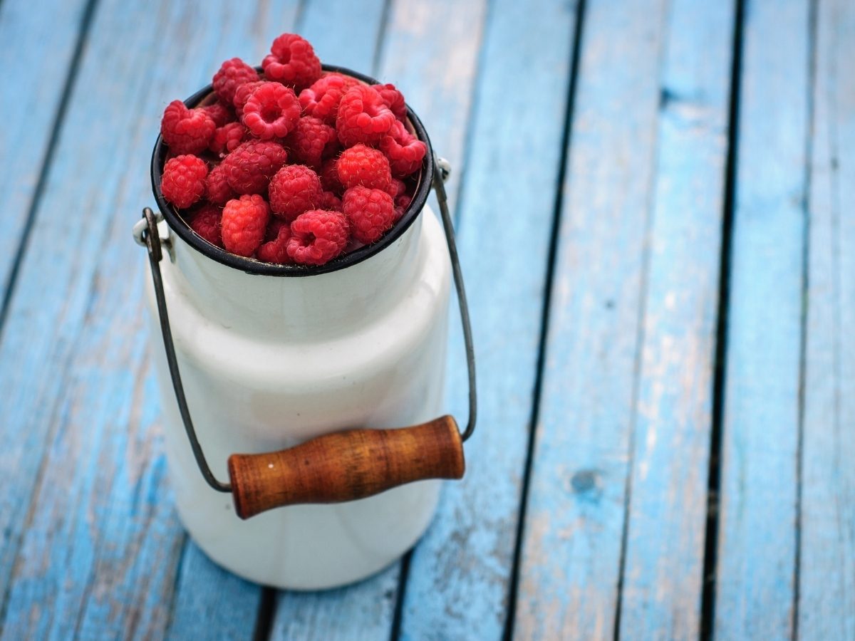 Top 10 Best Canned Raspberries