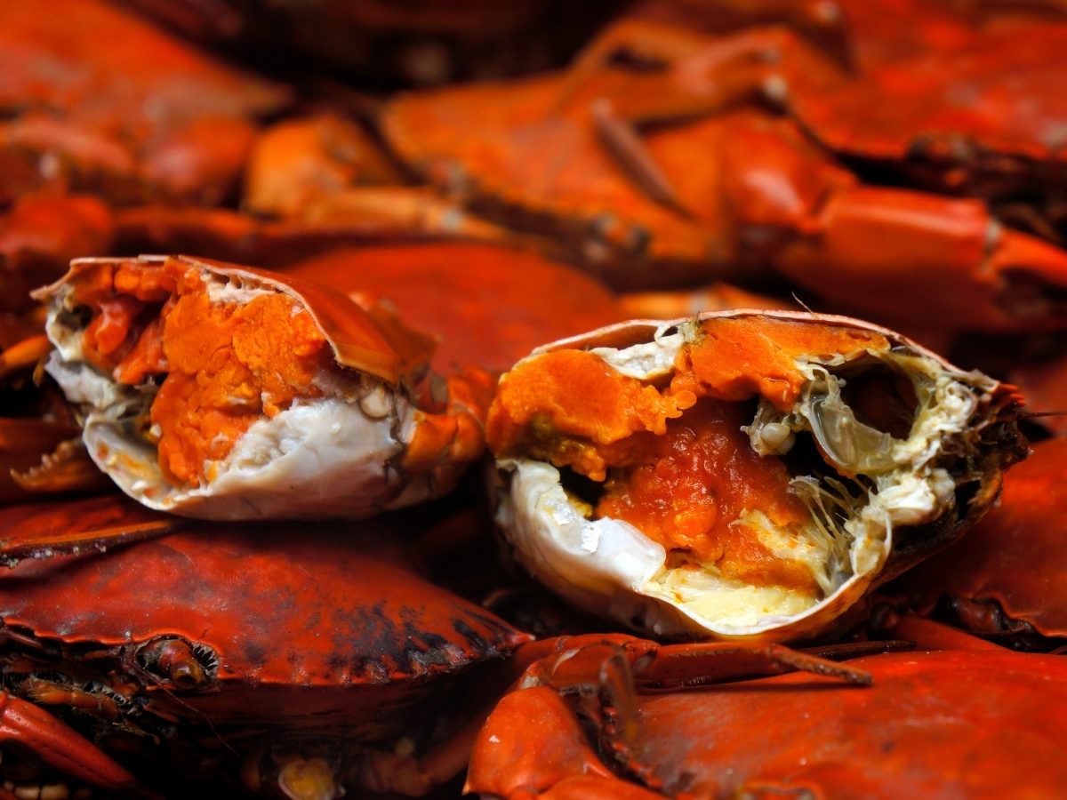 Top 10 Best Canned Crabmeat