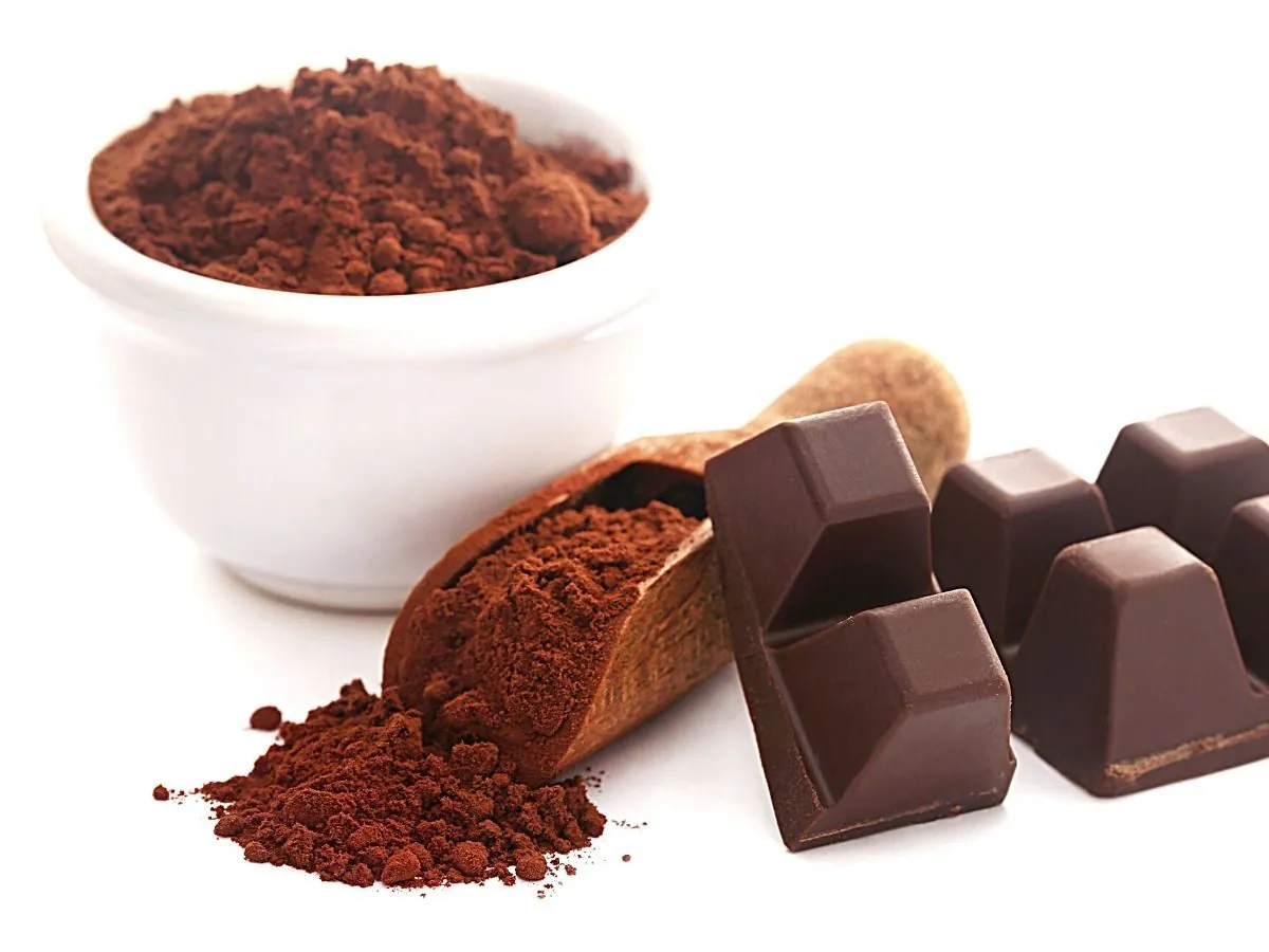 Top 10 Best Chocolate Powder