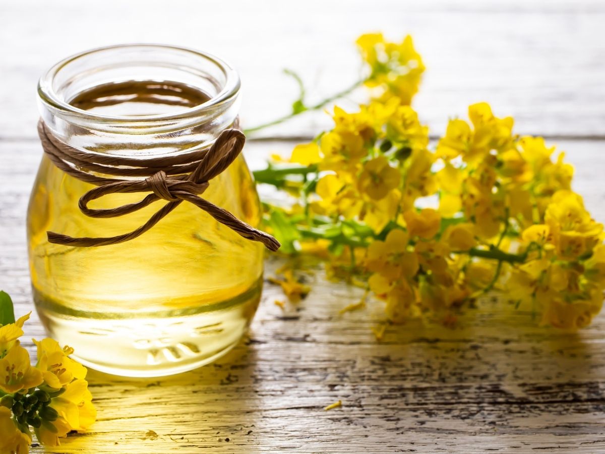 Top 10 Best Canola Cooking Oils Taste Reviews