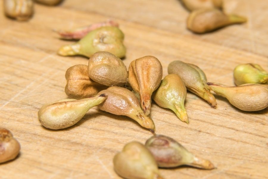 What Does Grapeseed Cooking Oil Taste Like