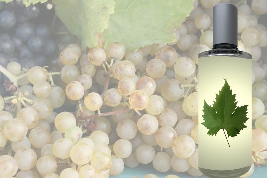 What is Grapeseed Cooking Oil