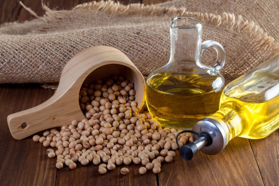 Is Soybean Cooking Oil Healthy