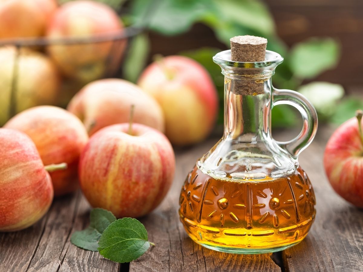 Top 10 Best Apple Cider Vinegar Taste Reviews