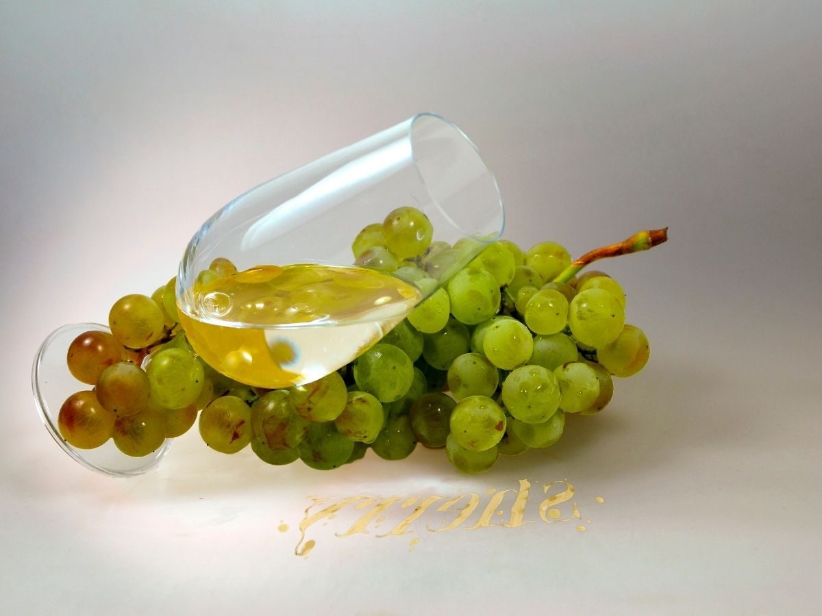 Top 10 Best Sherry Cooking Wine Taste Reviews