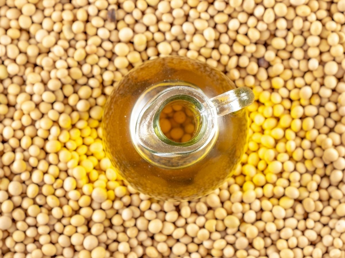 Top 10 Best Soybean Cooking Oil Taste Reviews