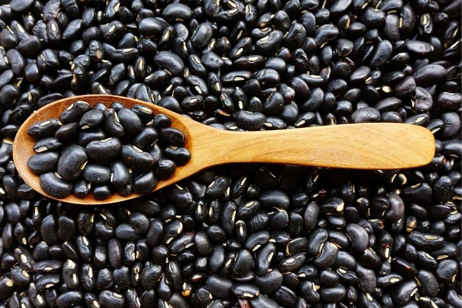 What Features Should You Consider When Buying Dried Black Beans