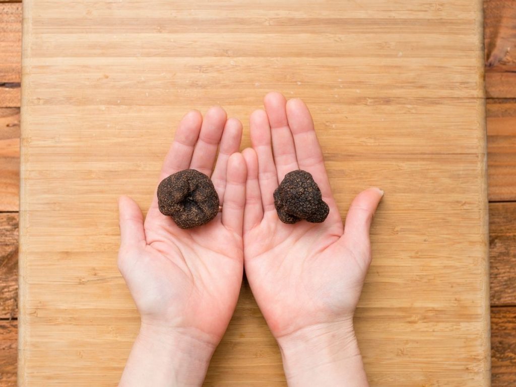truffle on hands