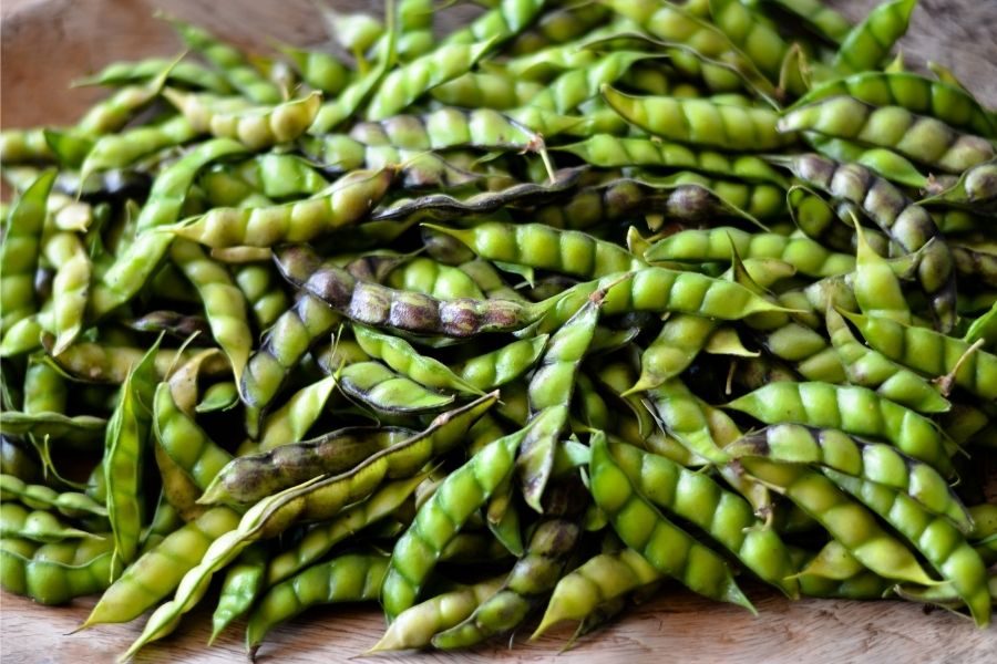 Pigeon Peas reviews