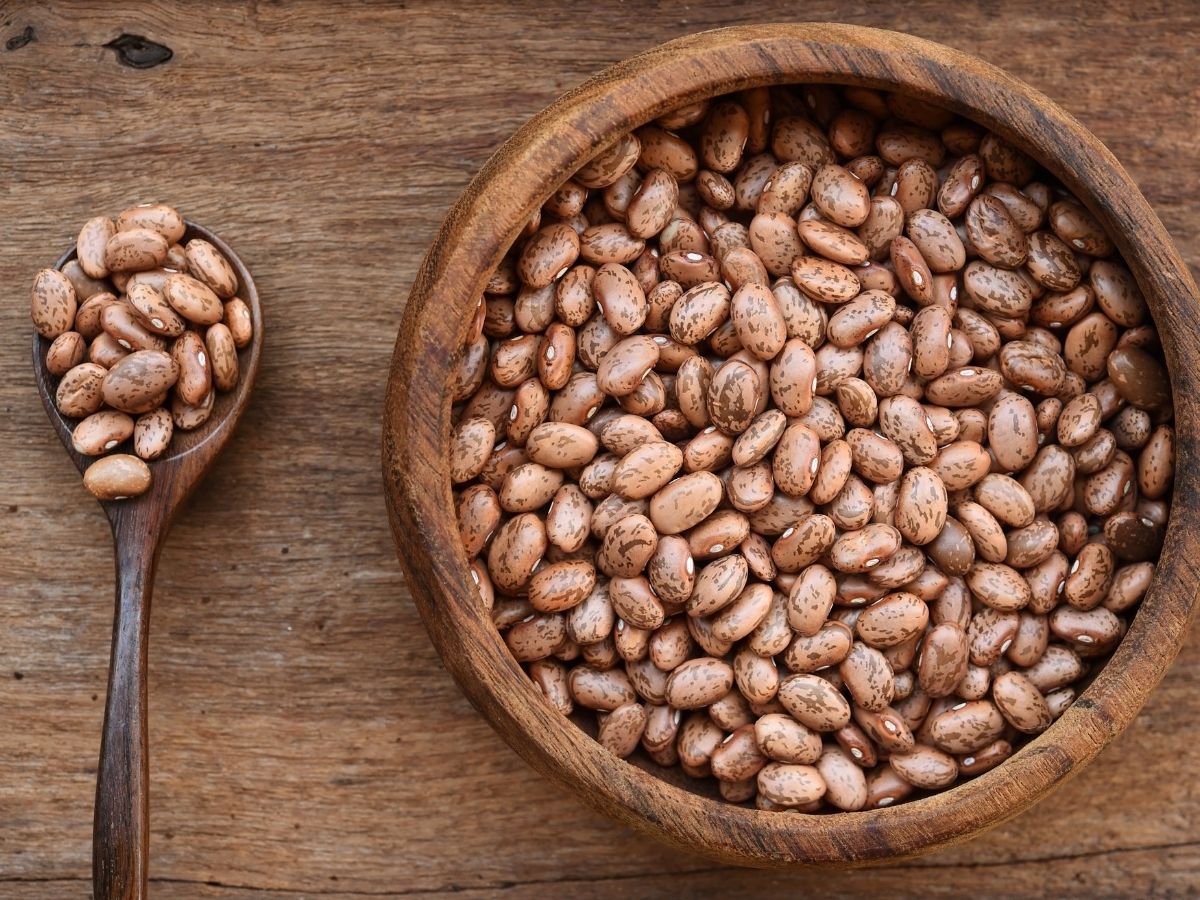 Top 10 Best Dried Pinto Beans Taste Reviews