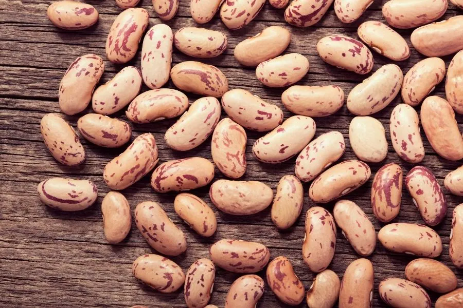 What Features Should You Consider When Buying Dried Pinto Beans