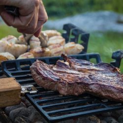 10 Best Hibachi Grills Reviews and Buying Guide