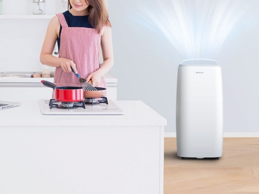 10 Best Portable Air Conditioners Reviews and Buying Guide