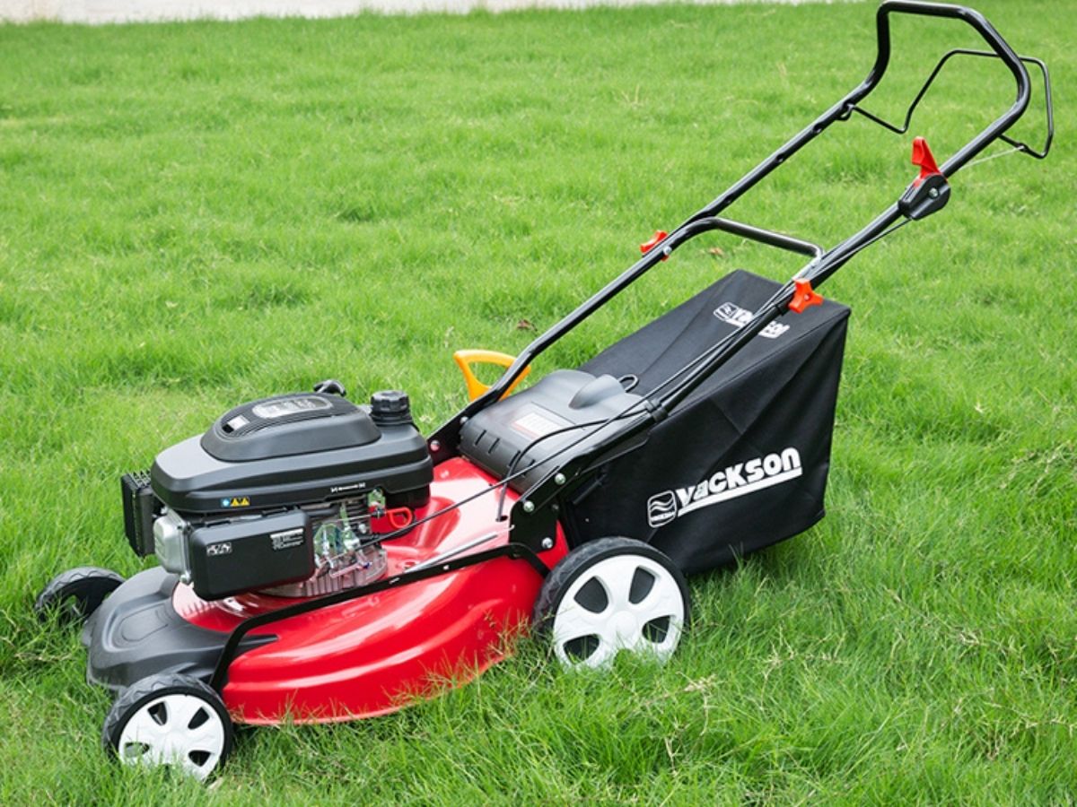 Best Lawn Mowers Reviews and Buying Guide