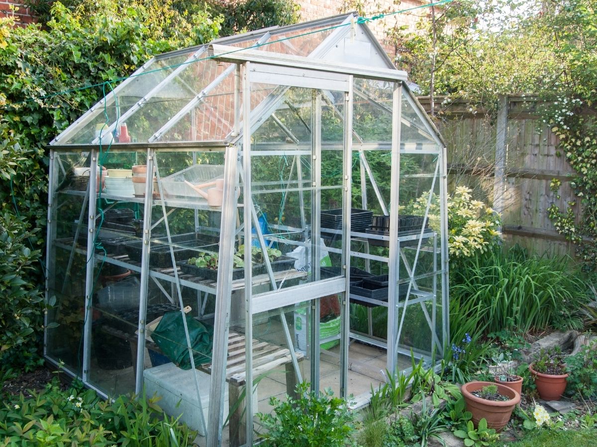 Best Greenhouses for Outdoor Reviews and Buying Guide