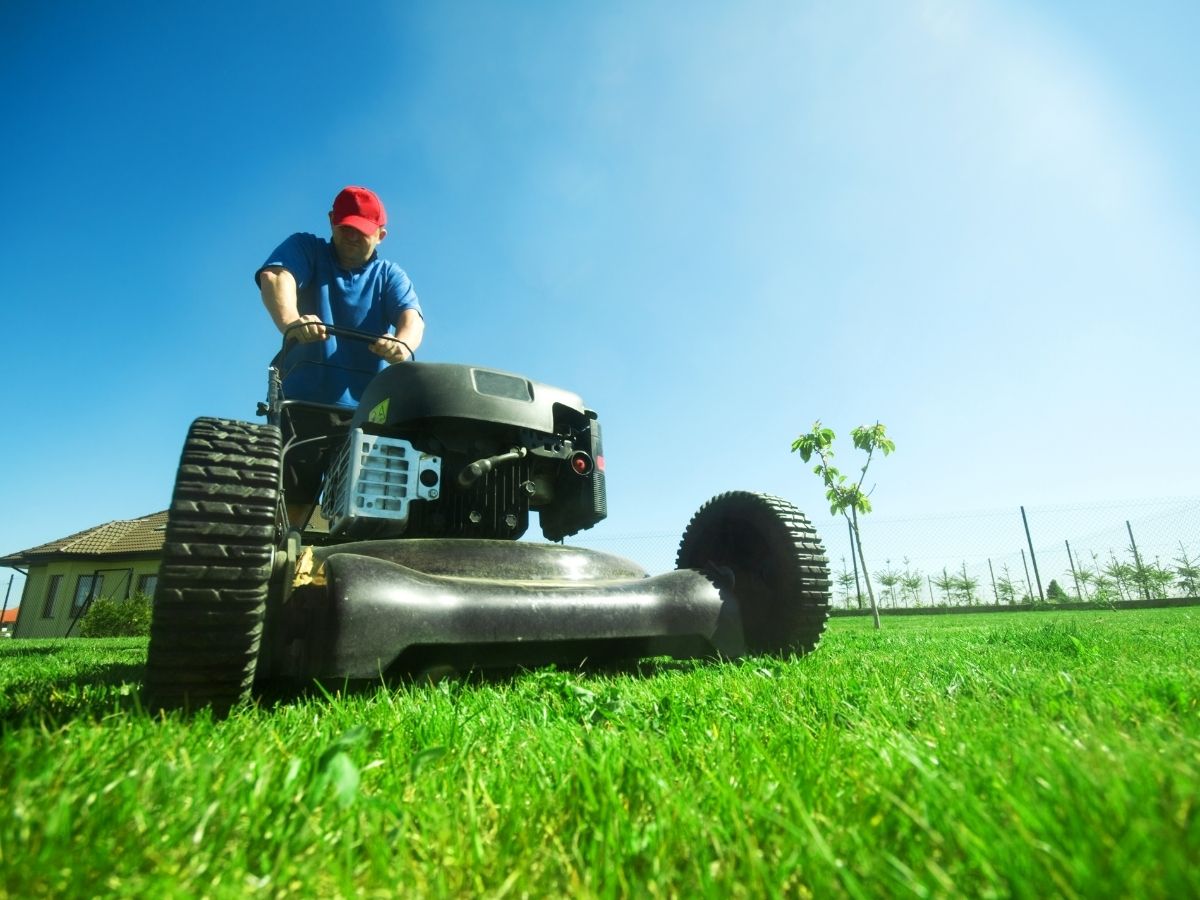 10 Best Battery Lawn Mowers Reviews and Guide
