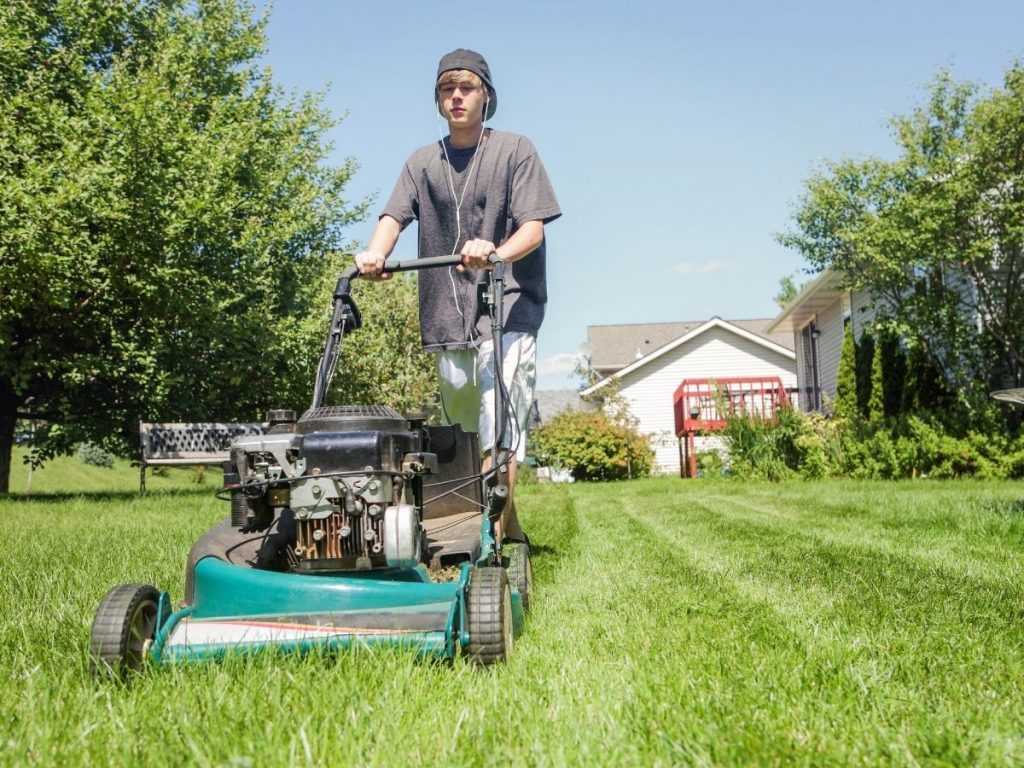 11 Best GasPowered Lawn Mowers Reviews and Guide My Chinese Recipes