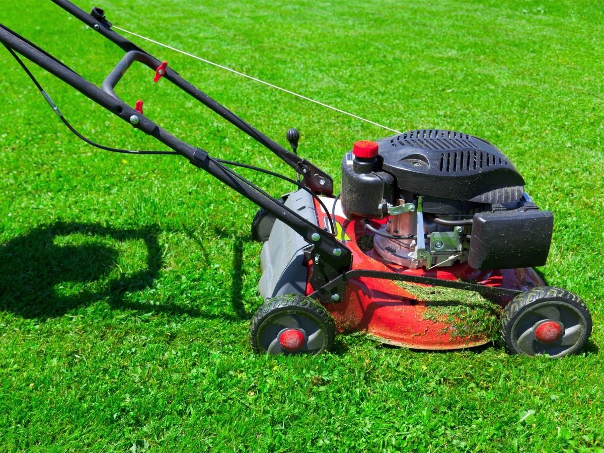 Best Self Propelled Lawn Mowers Reviews and Buying Guide