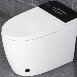 10 Best Bidet Toilet Seats Reviews and Buying Guide