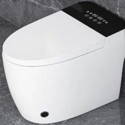 10 Best Bidet Toilet Seats Reviews and Buying Guide