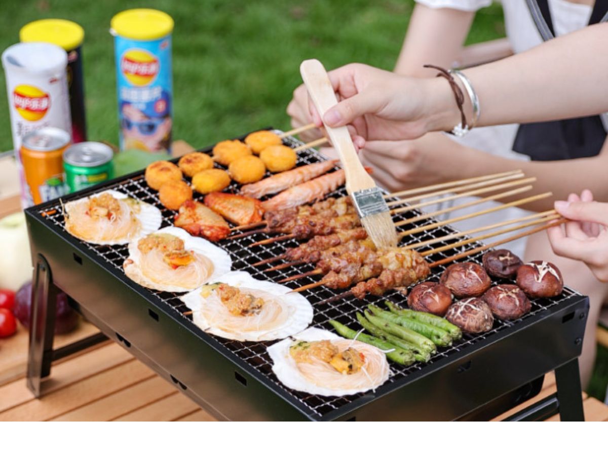 10 Best small Grills Reviews and Buying Guide