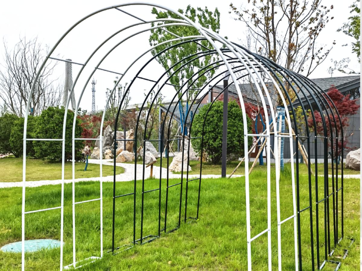 10 Best Pergolas and Buying Guide