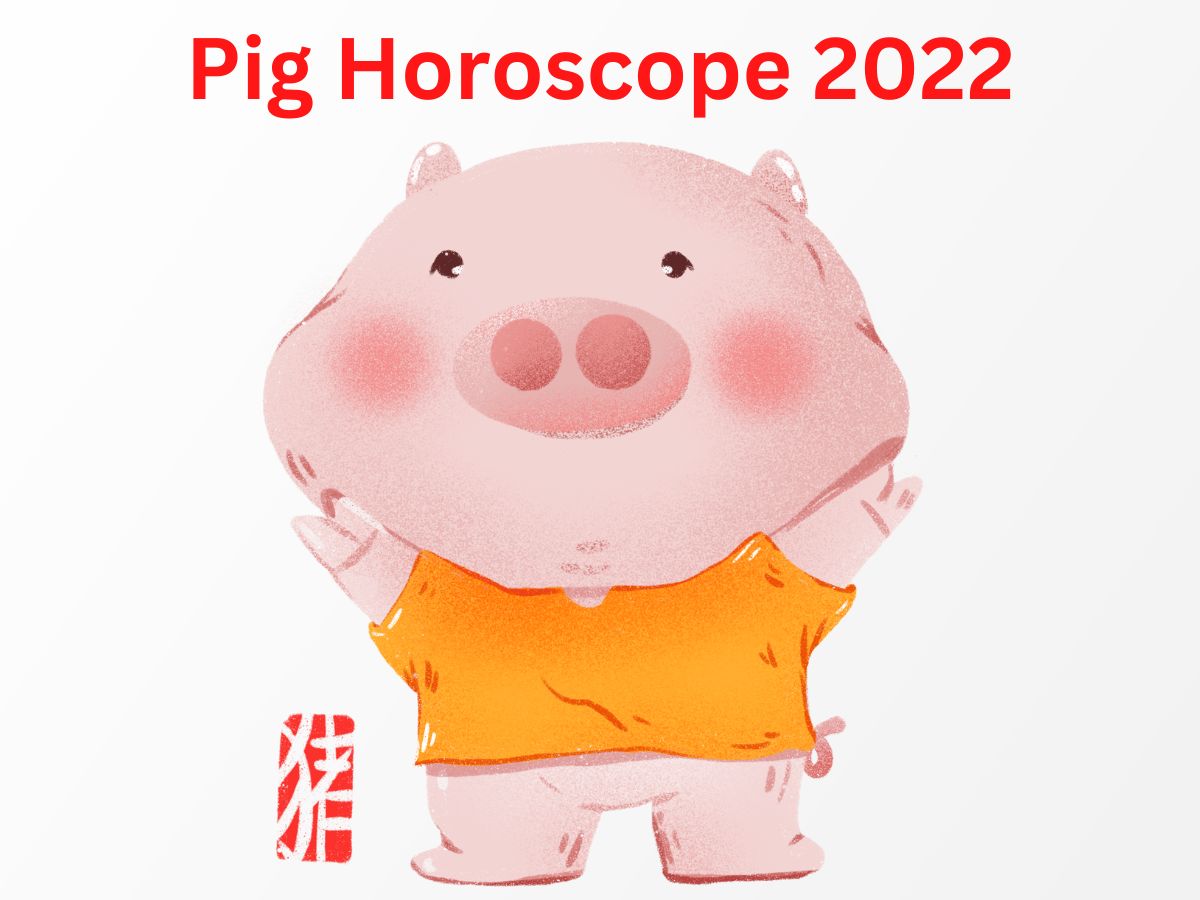 Chinese Zodiac Pig Horoscope 2022