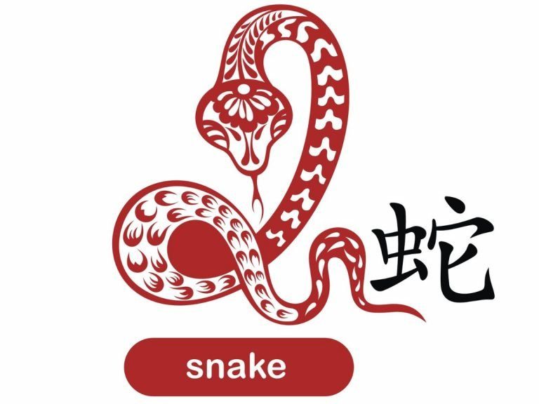 Snake Chinese Zodiac Signs My Chinese Recipes