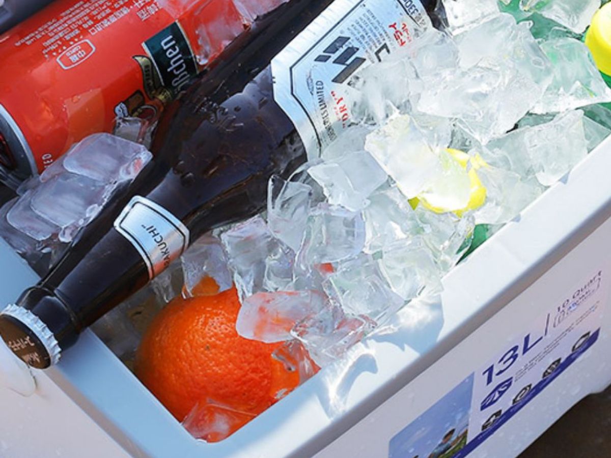 10 Best Portable Refrigerators for Outdoor and Buying Guide