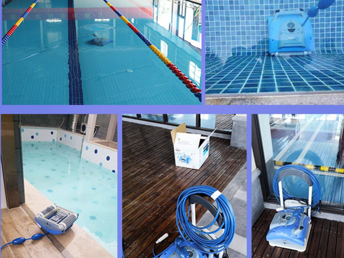 10 Best Wall Climbing Automatic Pool Cleaners and Buying Guide