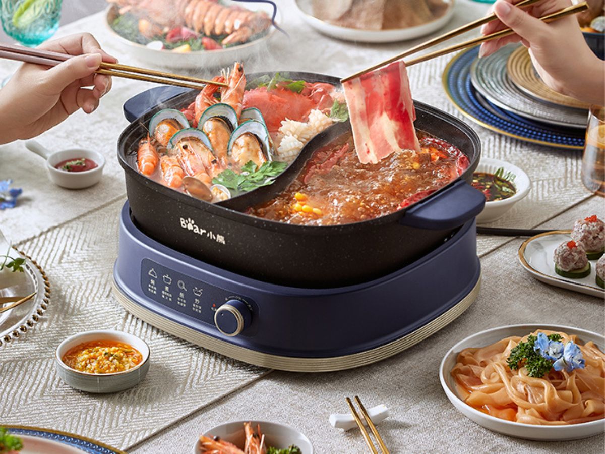 Top 10 Electric Woks Reviews and Buying Guide