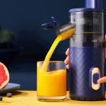 Top 10 Best Centrifugal Juicers Reviews and Buying Guide