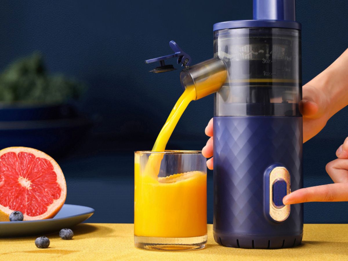Top 10 Best Centrifugal Juicers Reviews and Buying Guide