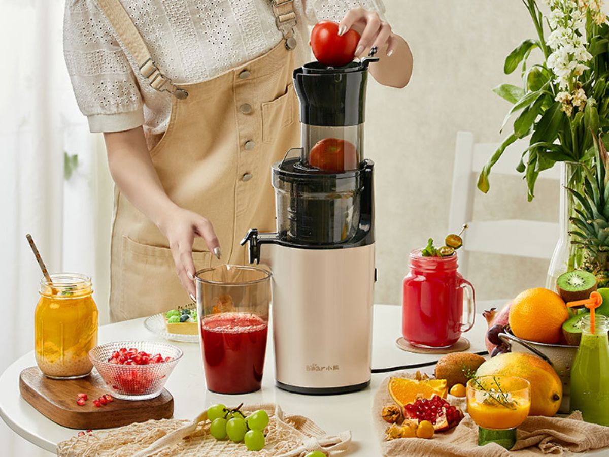 Top 10 Best Citrus Juicers Reviews and Buying Guide