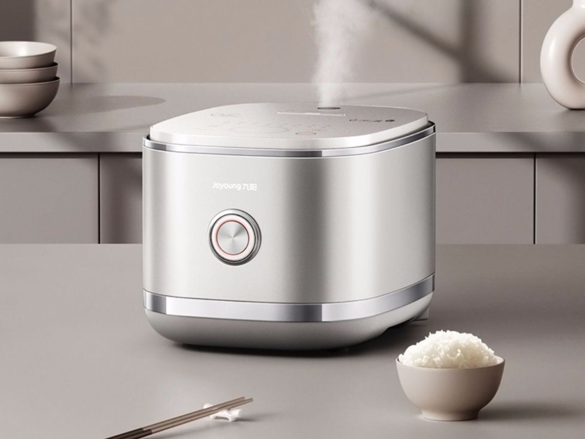 Top 10 Best Rice Cookers Reviews and Buying Guide