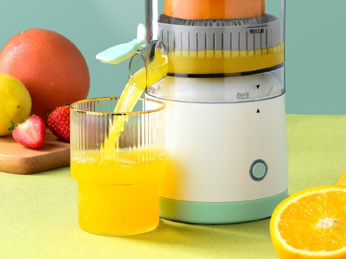 Top 10 Best Slow Juicers Reviews and Buying Guide