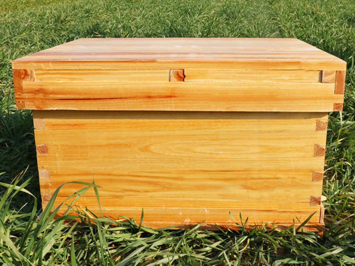 Top 10 Best Beehives Reviews and Guide
