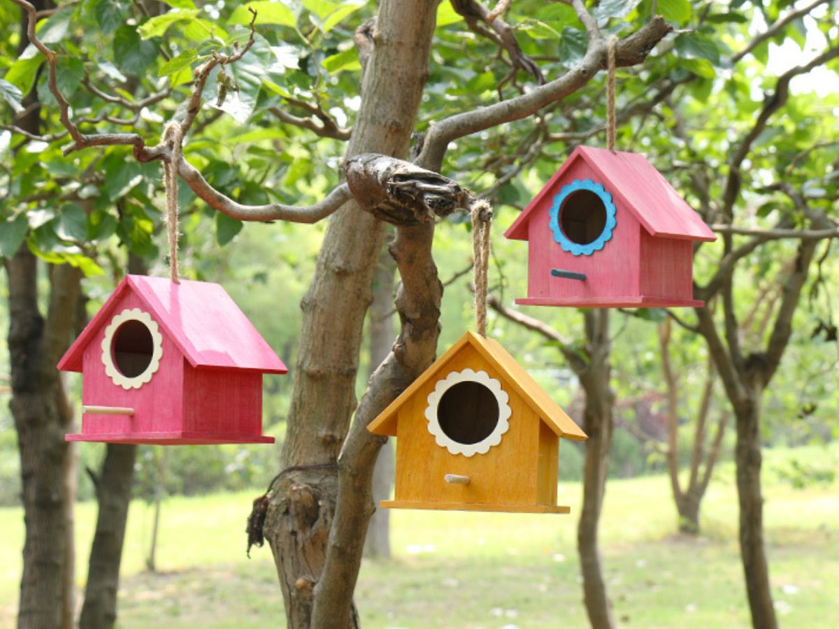 Top 10 Best Bird Houses Reviews